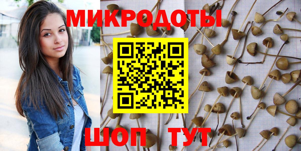 Галлюциногенные грибы прущие грибы  Вход с VPN  что такое   Волжск 