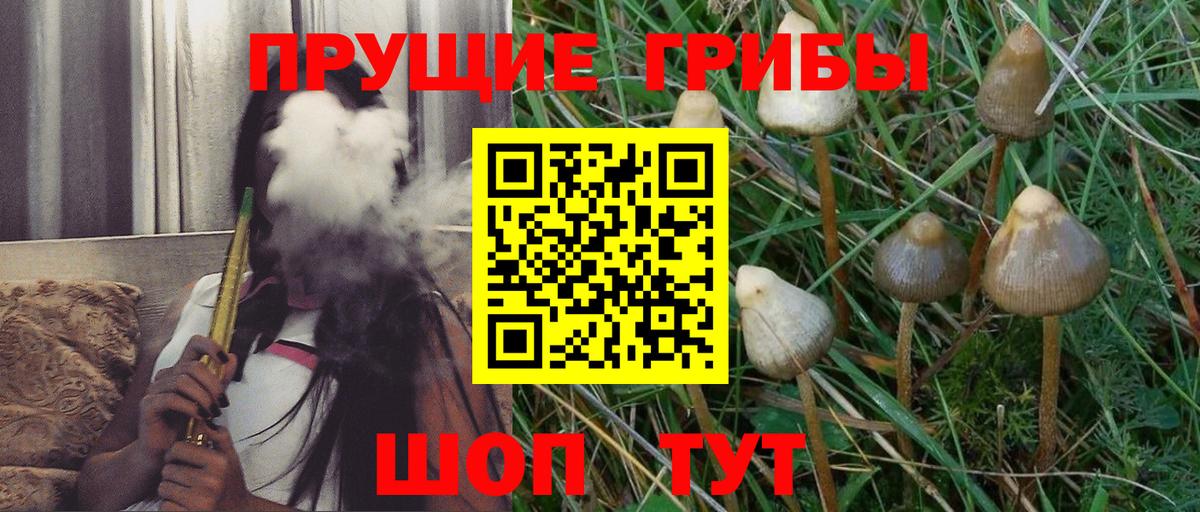 Псилоцибиновые грибы MAGIC MUSHROOMS Волжск