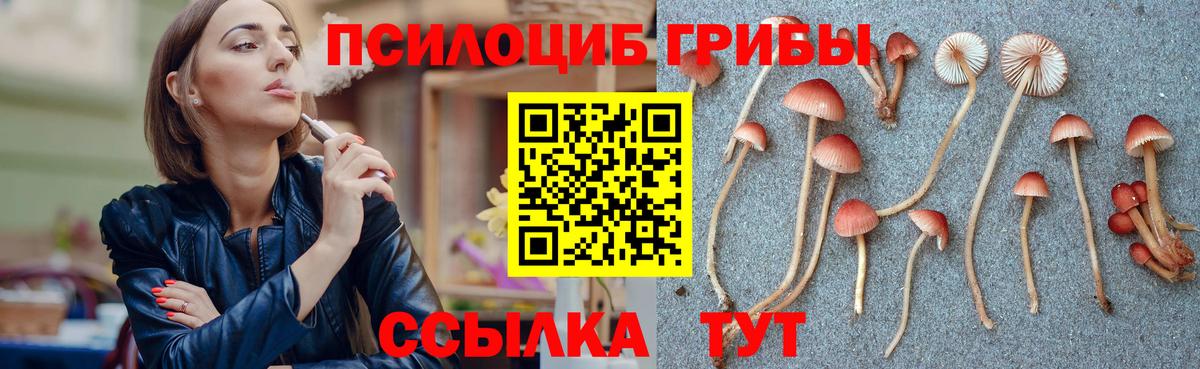 Псилоцибиновые грибы мицелий  Волжск 