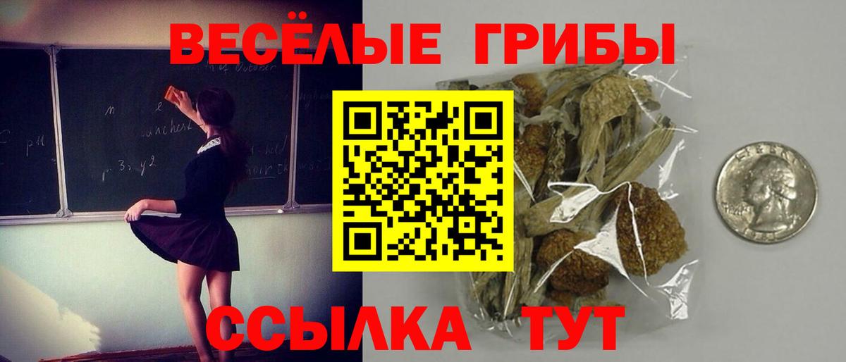 Псилоцибиновые грибы Cubensis Волжск
